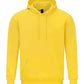 Softstyle midweight fleece adult hoodie GD067