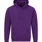 Softstyle midweight fleece adult hoodie GD067